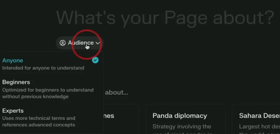 Dropdown menu in Perplexity for selecting audience for page setup